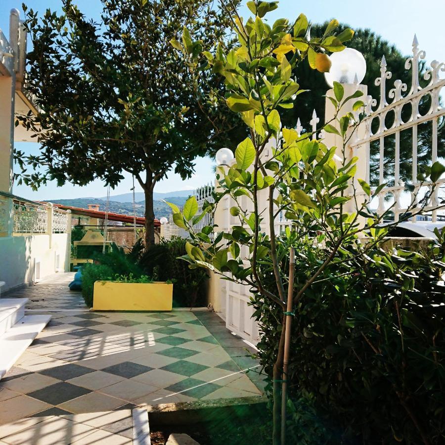 Villa Filoxenia All Seasons, Near Airport, Sea, Athens Αγία Μαρίνα Εξωτερικό φωτογραφία