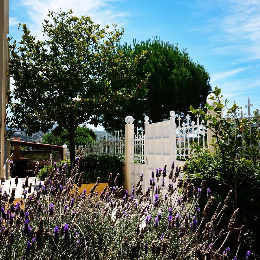 Villa Filoxenia All Seasons, Near Airport, Sea, Athens Αγία Μαρίνα Εξωτερικό φωτογραφία