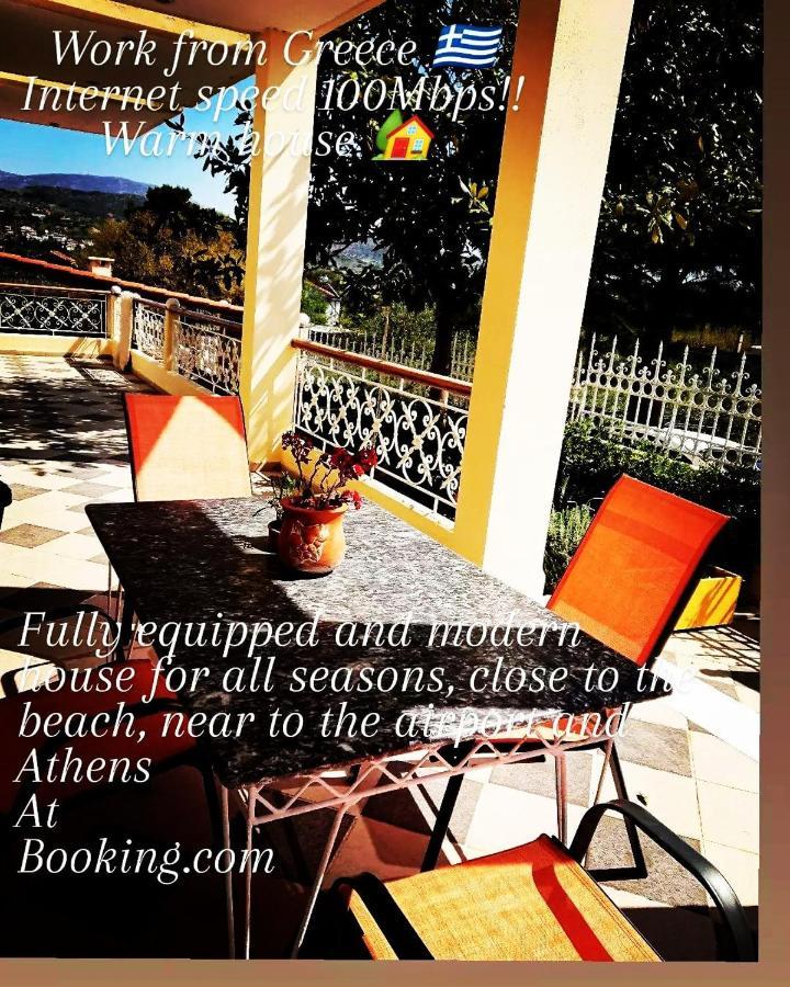 Villa Filoxenia All Seasons, Near Airport, Sea, Athens Αγία Μαρίνα Εξωτερικό φωτογραφία