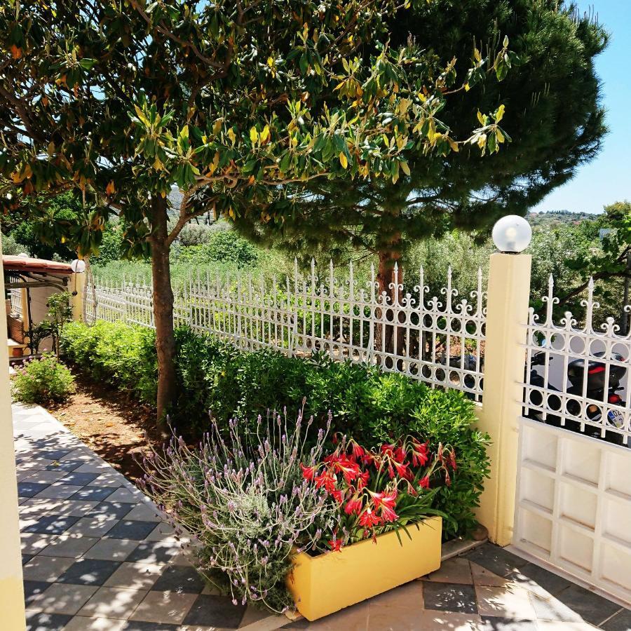 Villa Filoxenia All Seasons, Near Airport, Sea, Athens Αγία Μαρίνα Εξωτερικό φωτογραφία