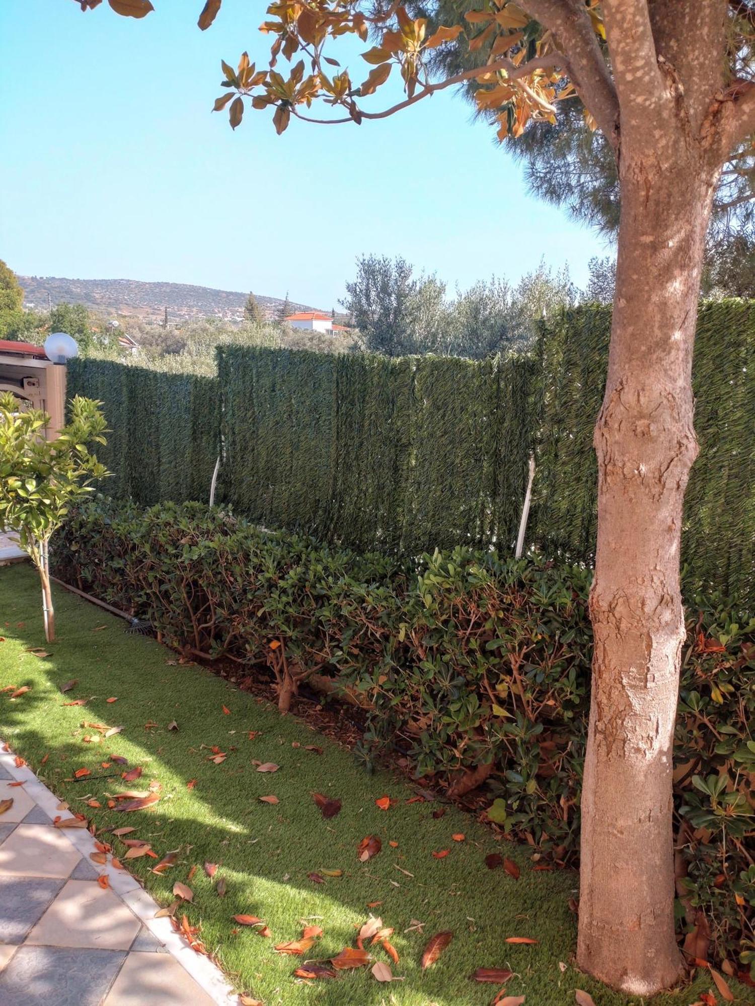 Villa Filoxenia All Seasons, Near Airport, Sea, Athens Αγία Μαρίνα Εξωτερικό φωτογραφία