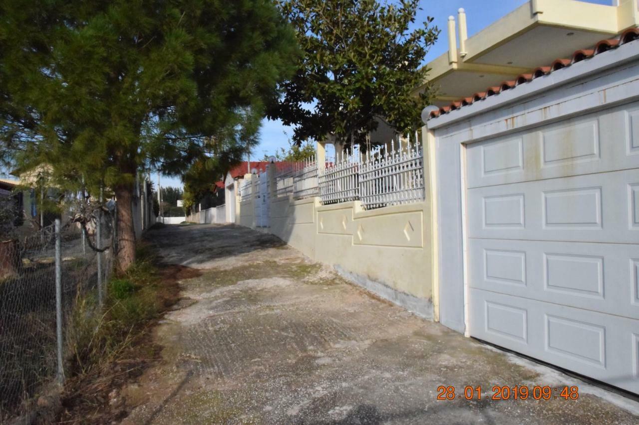 Villa Filoxenia All Seasons, Near Airport, Sea, Athens Αγία Μαρίνα Εξωτερικό φωτογραφία