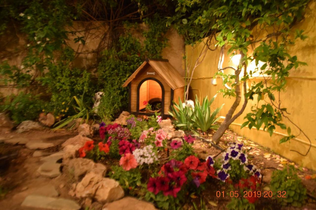 Villa Filoxenia All Seasons, Near Airport, Sea, Athens Αγία Μαρίνα Εξωτερικό φωτογραφία