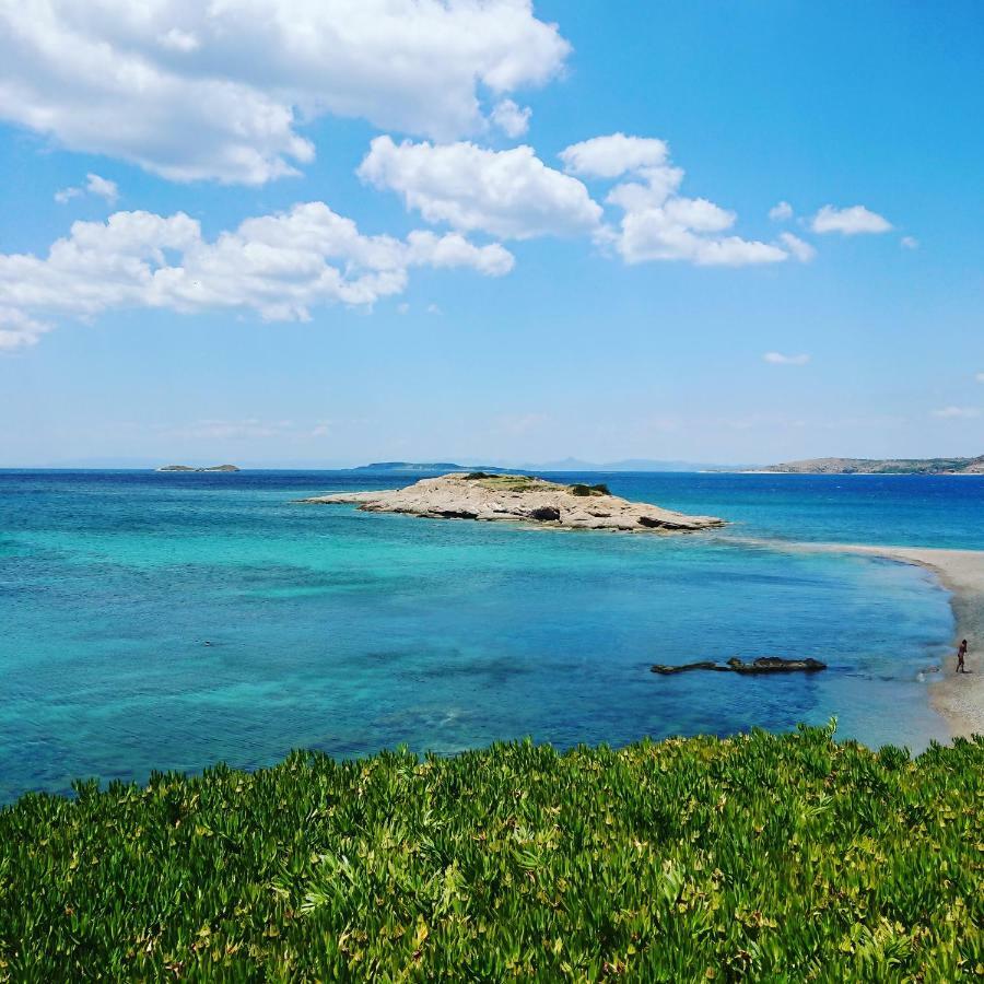 Villa Filoxenia All Seasons, Near Airport, Sea, Athens Αγία Μαρίνα Εξωτερικό φωτογραφία