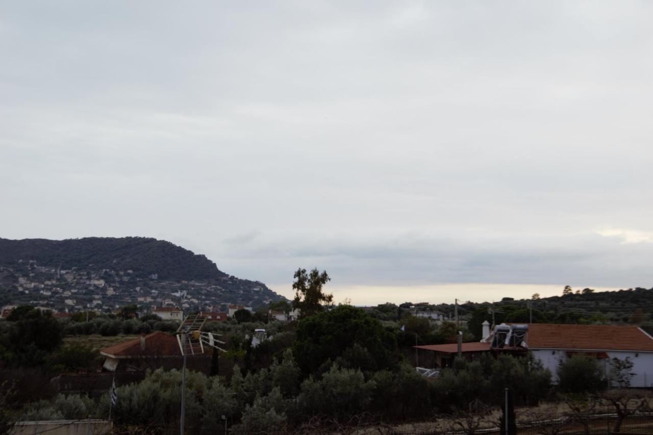 Villa Filoxenia All Seasons, Near Airport, Sea, Athens Αγία Μαρίνα Εξωτερικό φωτογραφία